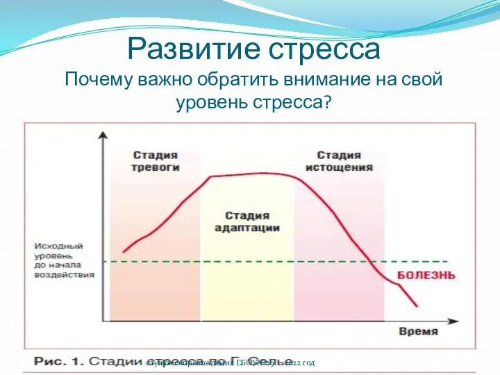 Развитие стресса Почему важно обратить внимание на свой уровень стресса? служба сопровождения ГБОУ№29 2022 год