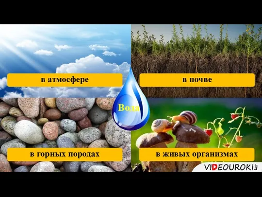 Вода в живых организмах в горных породах в атмосфере в почве Вода