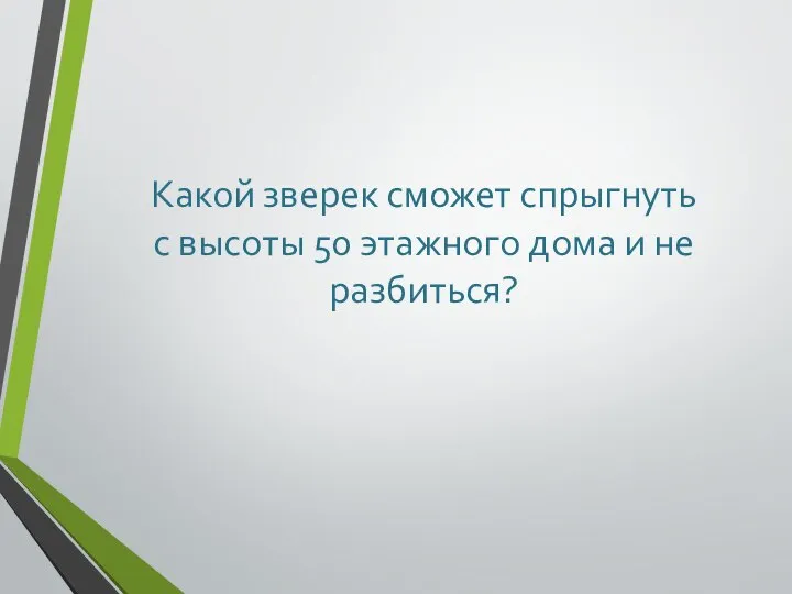 Какой зверек сможет спрыгнуть с высоты 50 этажного дома и не разбиться?