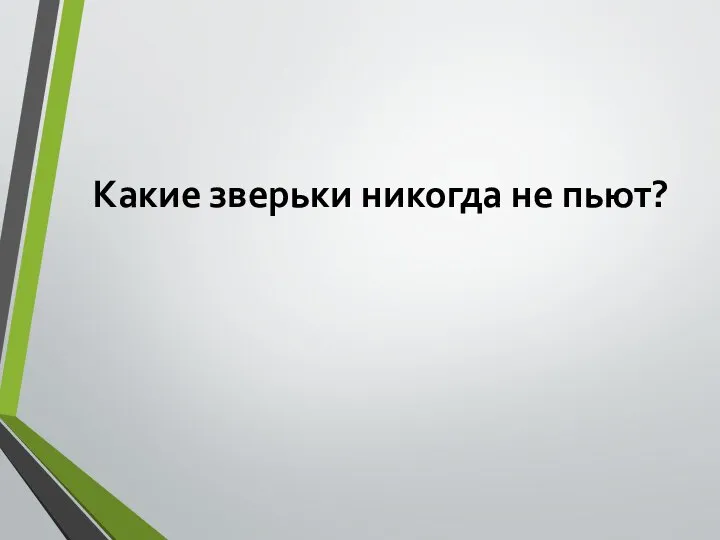 Какие зверьки никогда не пьют?