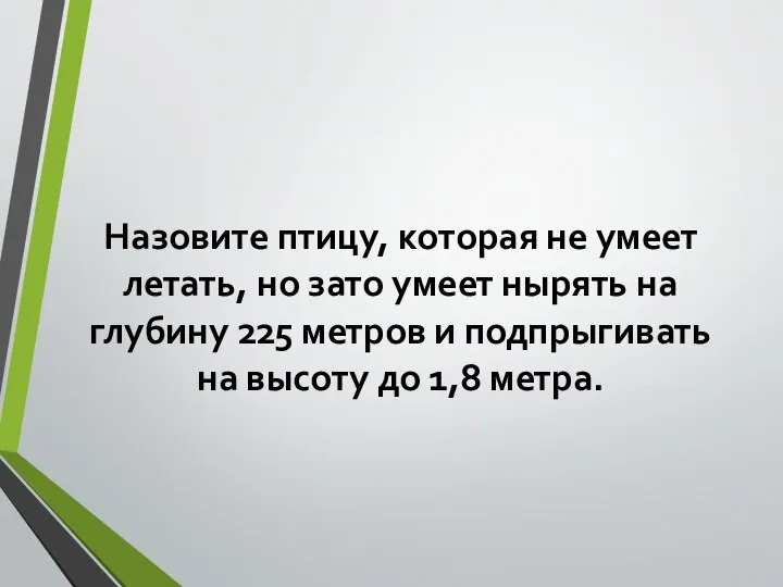 Назовите птицу, которая не умеет летать, но зато умеет нырять на