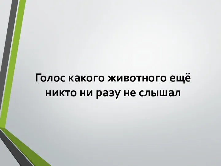 Голос какого животного ещё никто ни разу не слышал