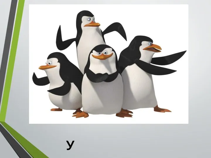 У пингвинов