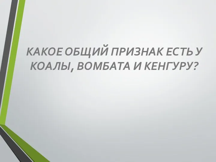 КАКОЕ ОБЩИЙ ПРИЗНАК ЕСТЬ У КОАЛЫ, ВОМБАТА И КЕНГУРУ?