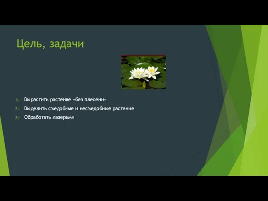 Цель, задачи Вырастить растение «без плесени» Выделить съедобные и несъедобные растение Обработать лазерами