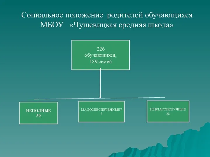 Социальное положение родителей обучающихся МБОУ «Чушевицкая средняя школа» 226 обучающихся, 189