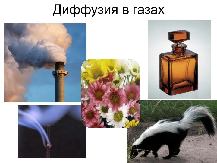 Диффузия в газах