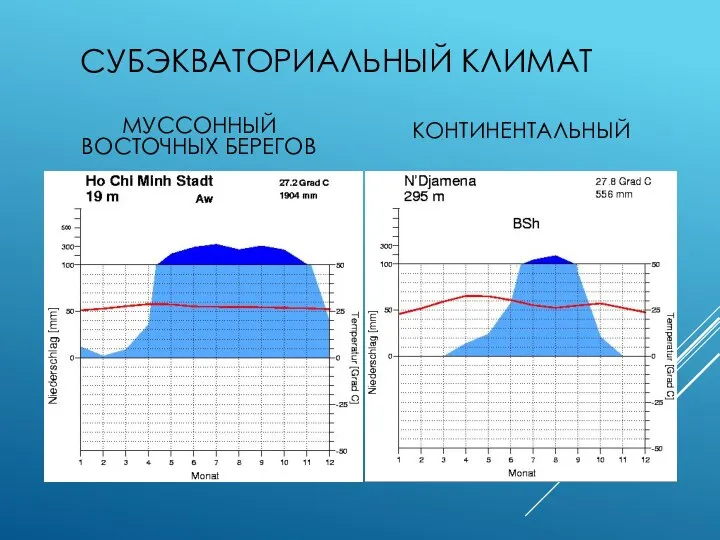 СУБЭКВАТОРИАЛЬНЫЙ КЛИМАТ МУССОННЫЙ ВОСТОЧНЫХ БЕРЕГОВ КОНТИНЕНТАЛЬНЫЙ