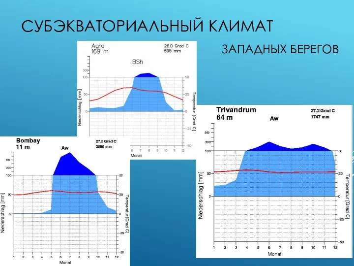 СУБЭКВАТОРИАЛЬНЫЙ КЛИМАТ ЗАПАДНЫХ БЕРЕГОВ