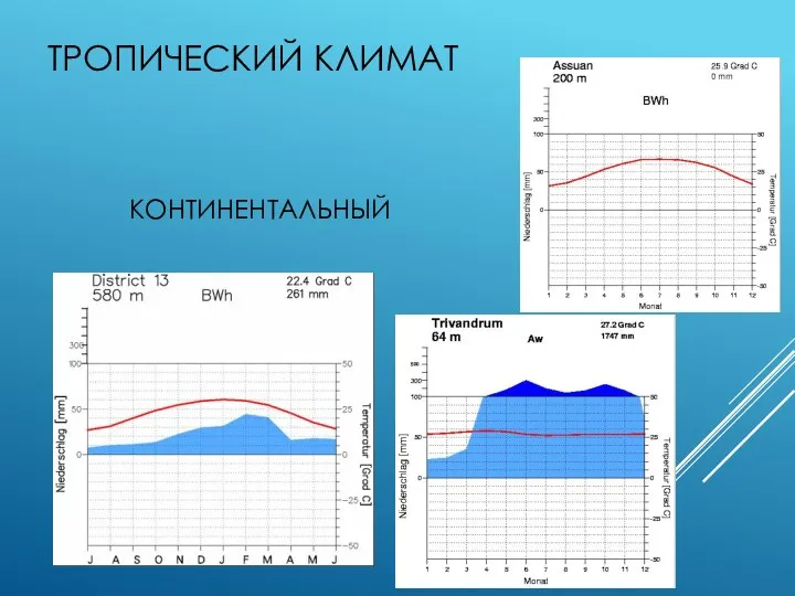 ТРОПИЧЕСКИЙ КЛИМАТ КОНТИНЕНТАЛЬНЫЙ