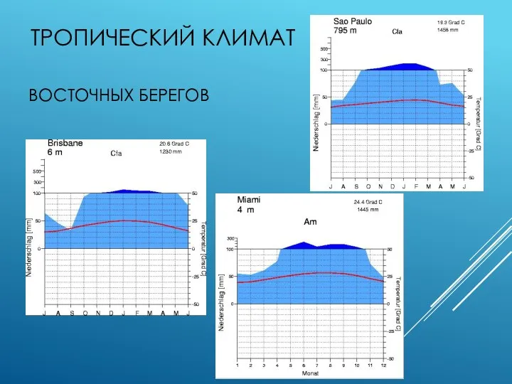 ТРОПИЧЕСКИЙ КЛИМАТ ВОСТОЧНЫХ БЕРЕГОВ