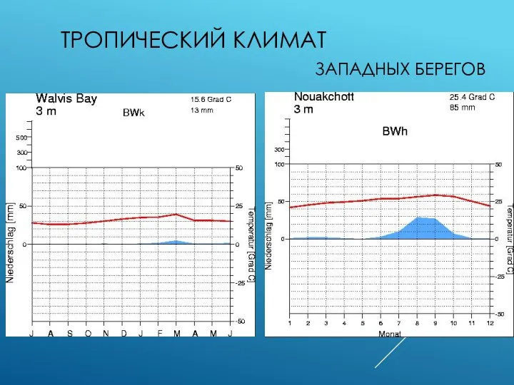 ТРОПИЧЕСКИЙ КЛИМАТ ЗАПАДНЫХ БЕРЕГОВ