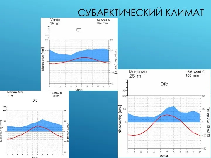 СУБАРКТИЧЕСКИЙ КЛИМАТ