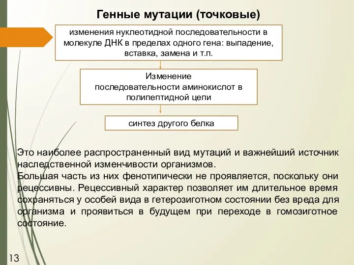 Генные мутации (точковые) Это наиболее распространенный вид мутаций и важнейший источник