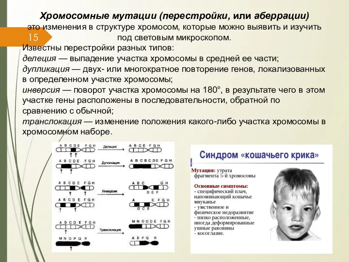 Хромосомные мутации (перестройки, или аберрации) это изменения в структуре хромосом, которые