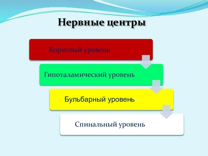 Нервные центры