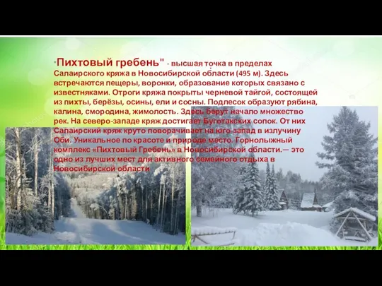 . "Пихтовый гребень" - высшая точка в пределах Салаирского кряжа в