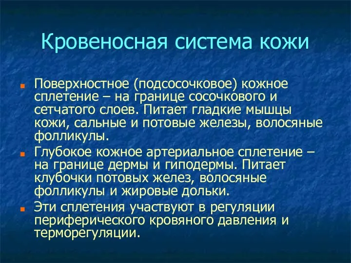 Кровеносная система кожи Поверхностное (подсосочковое) кожное сплетение – на границе сосочкового