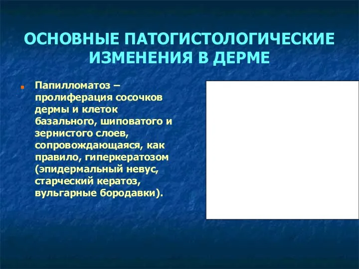 ОСНОВНЫЕ ПАТОГИСТОЛОГИЧЕСКИЕ ИЗМЕНЕНИЯ В ДЕРМЕ Папилломатоз – пролиферация сосочков дермы и