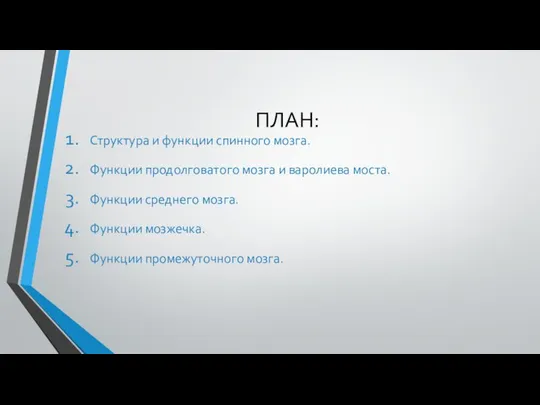 ПЛАН: Структура и функции спинного мозга. Функции продолговатого мозга и варолиева