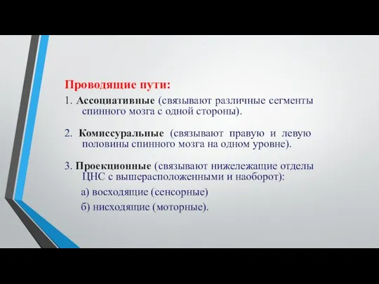 Проводящие пути: 1. Ассоциативные (связывают различные сегменты спинного мозга с одной