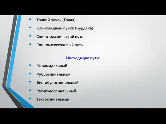 Восходящие пути: Тонкий пучок (Голля) Клиновидный пучок (Бурдаха) Спиноталамический путь Спиномозжечковый