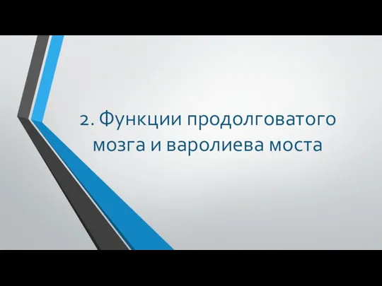 2. Функции продолговатого мозга и варолиева моста