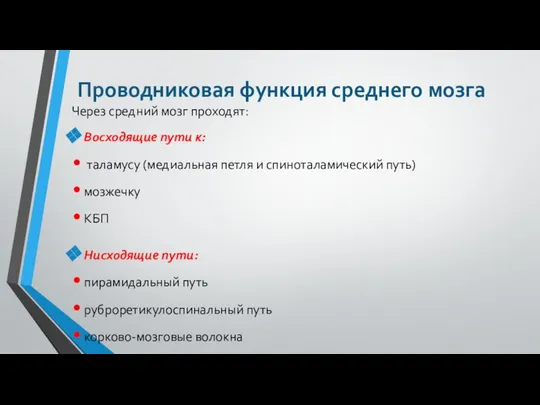 Проводниковая функция среднего мозга Через средний мозг проходят: Восходящие пути к: