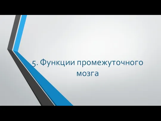 5. Функции промежуточного мозга