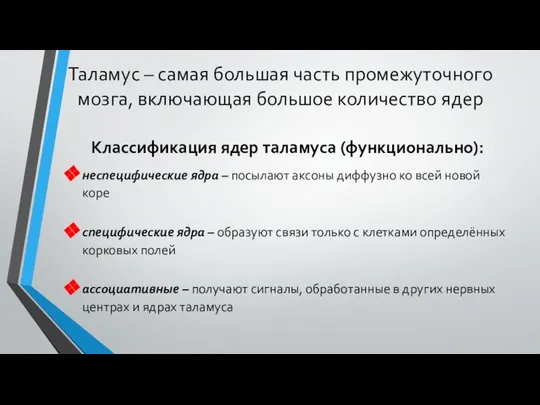 Классификация ядер таламуса (функционально): неспецифические ядра – посылают аксоны диффузно ко