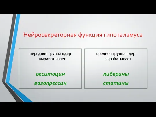 Нейросекреторная функция гипоталамуса передняя группа ядер вырабатывает окситоцин вазопрессин средняя группа ядер вырабатывает либерины статины