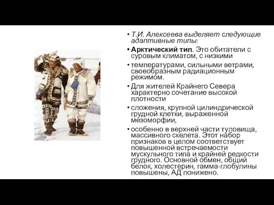 Т.И. Алексеева выделяет следующие адаптивные типы: Арктический тип. Это обитатели с