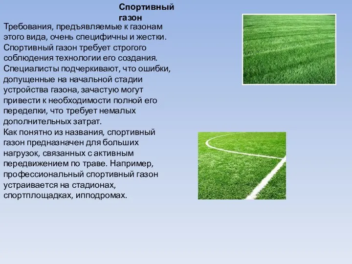 Спортивный газон Требования, предъявляемые к газонам этого вида, очень специфичны и