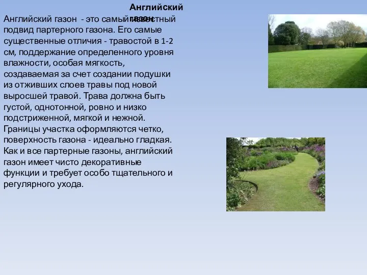 Английский газон Английский газон - это самый известный подвид партерного газона.