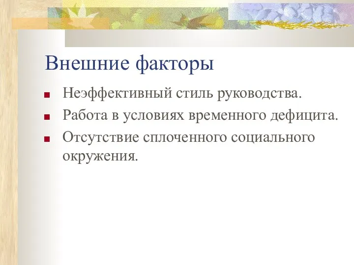 Внешние факторы Неэффективный стиль руководства. Работа в условиях временного дефицита. Отсутствие сплоченного социального окружения.