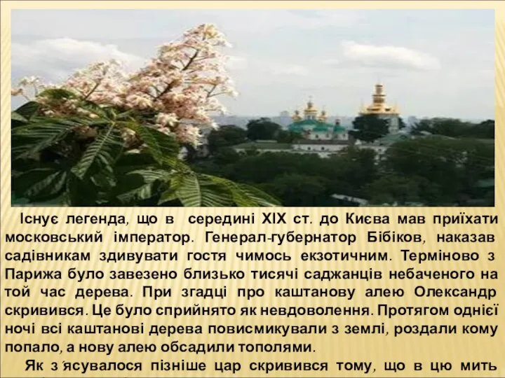 Існує легенда, що в середині ХІХ ст. до Києва мав приїхати