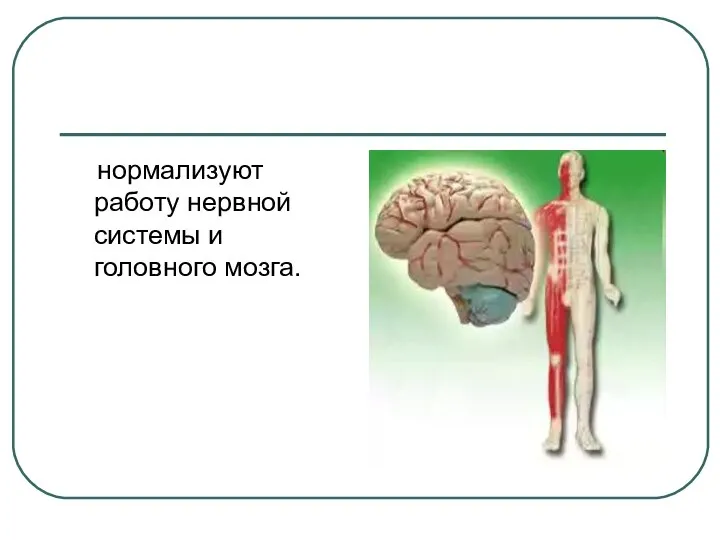 Витамины группы «В» нормализуют работу нервной системы и головного мозга.