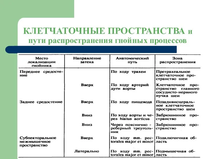 КЛЕТЧАТОЧНЫЕ ПРОСТРАНСТВА и пути распространения гнойных процессов