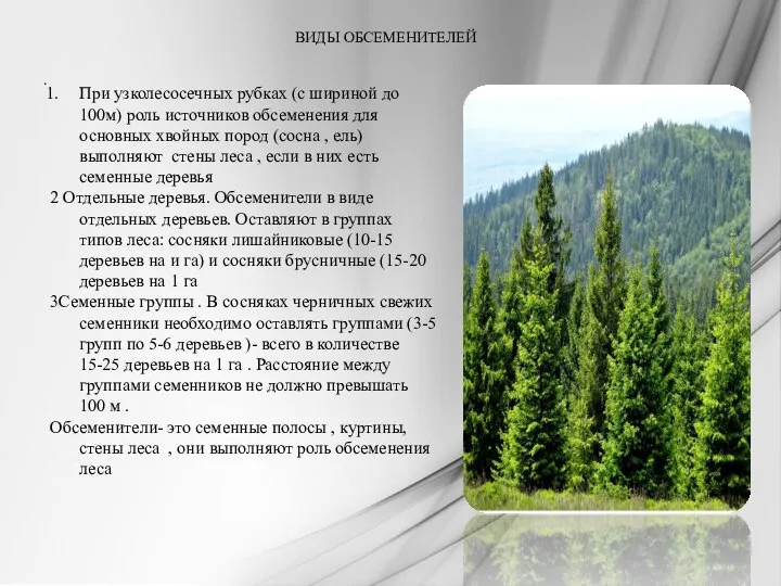 Ежегодно в России вырубают 120 тыс. г.а леса . И ещё