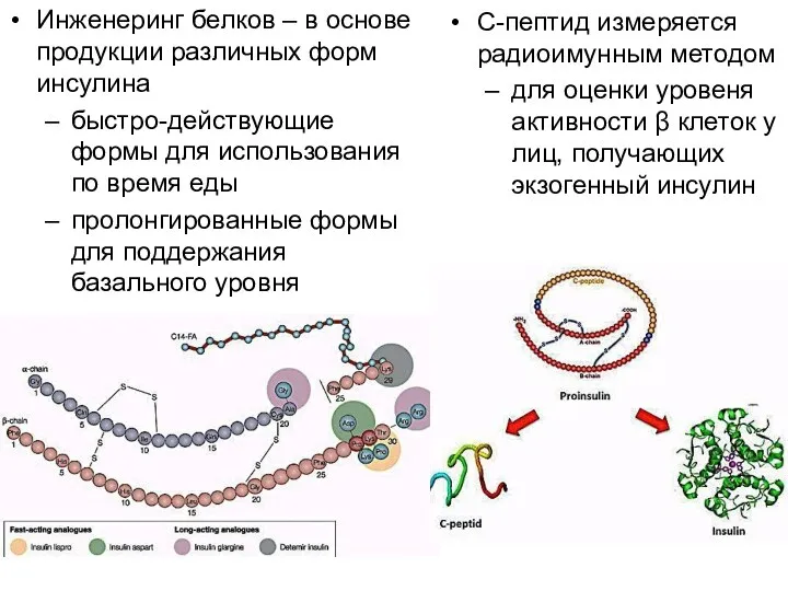 C-пептид измеряется радиоимунным методом для оценки уровеня активности β клеток у