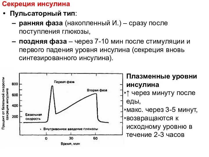 Секреция инсулина Пульсаторный тип: ранняя фаза (накопленный И.) – сразу после