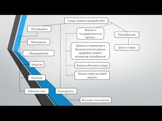 Среда прямого воздействия Поставщики Материалы Оборудование Энергия Рабочая сила Капитал Потребители