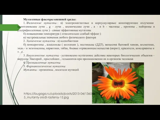 Мутагенные факторы внешней среды: 1. Физические мутагены : а) электромагнитные и