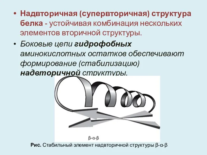 Надвторичная (супервторичная) структура белка - устойчивая комбинация нескольких элементов вторичной структуры.