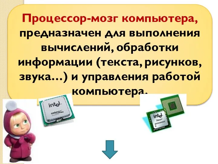 Процессор-мозг компьютера, предназначен для выполнения вычислений, обработки информации (текста, рисунков, звука…) и управления работой компьютера.