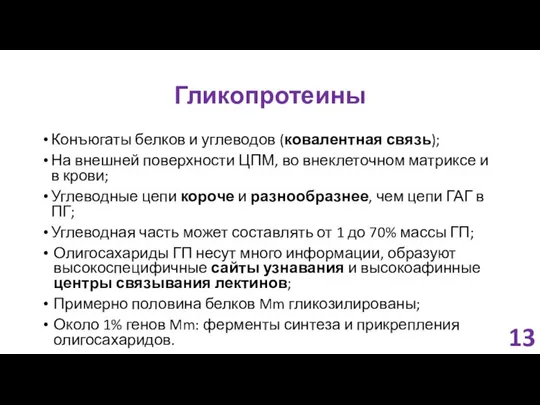 Гликопротеины Конъюгаты белков и углеводов (ковалентная связь); На внешней поверхности ЦПМ,