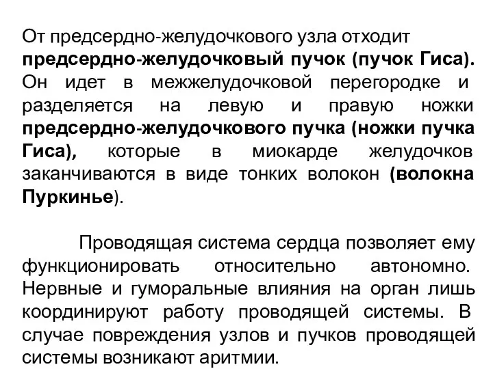 От предсердно-желудочкового узла отходит предсердно-желудочковый пучок (пучок Гиса). Он идет в