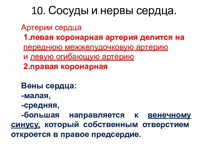 Артерии сердца 1.левая коронарная артерия делится на переднюю межжелудочковую артерию и