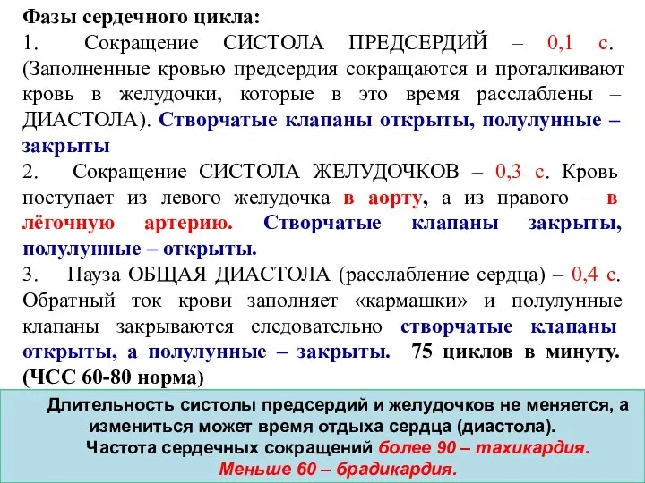 Фазы сердечного цикла: 1. Сокращение СИСТОЛА ПРЕДСЕРДИЙ – 0,1 с. (Заполненные