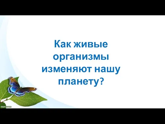 Как живые организмы изменяют нашу планету?